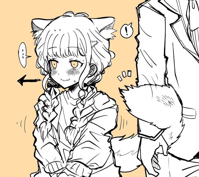 猫の日なんだってさ🐱 