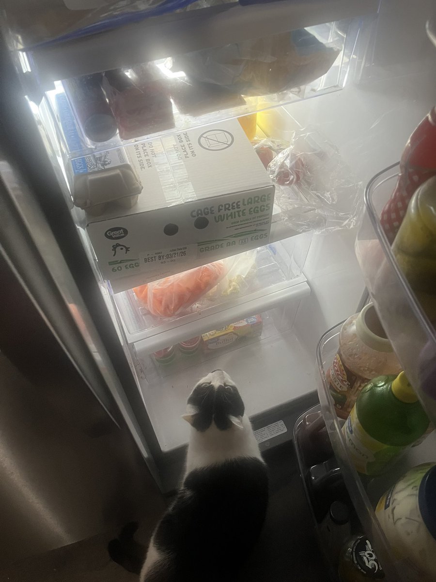 we both get fat at 1 am