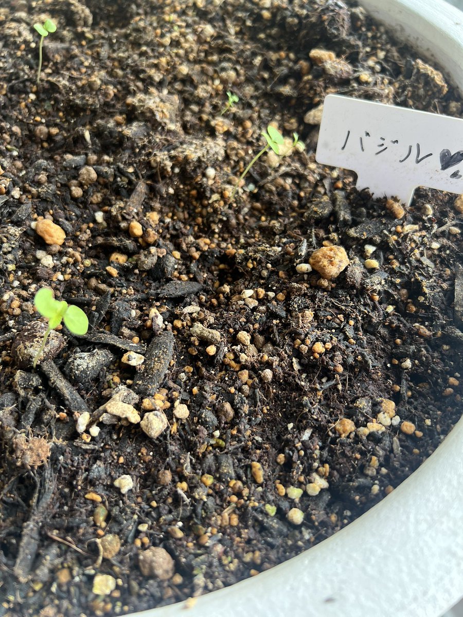 大黒摩季_公式 (@m_ohguro) / Posts / X