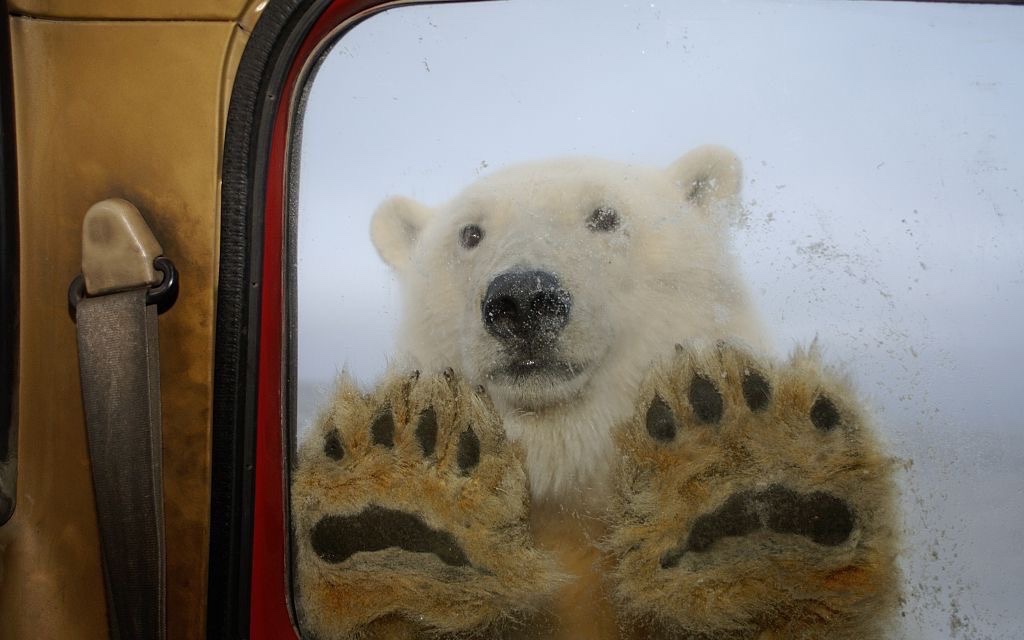 positive side of X 🌞 tweet media