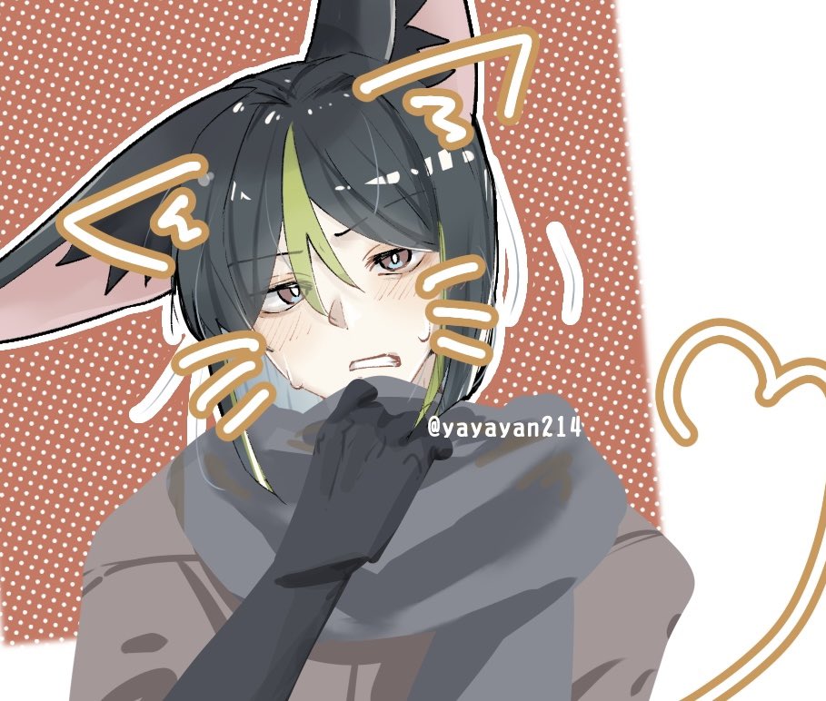 Post by やややん on X: 猫の日…？