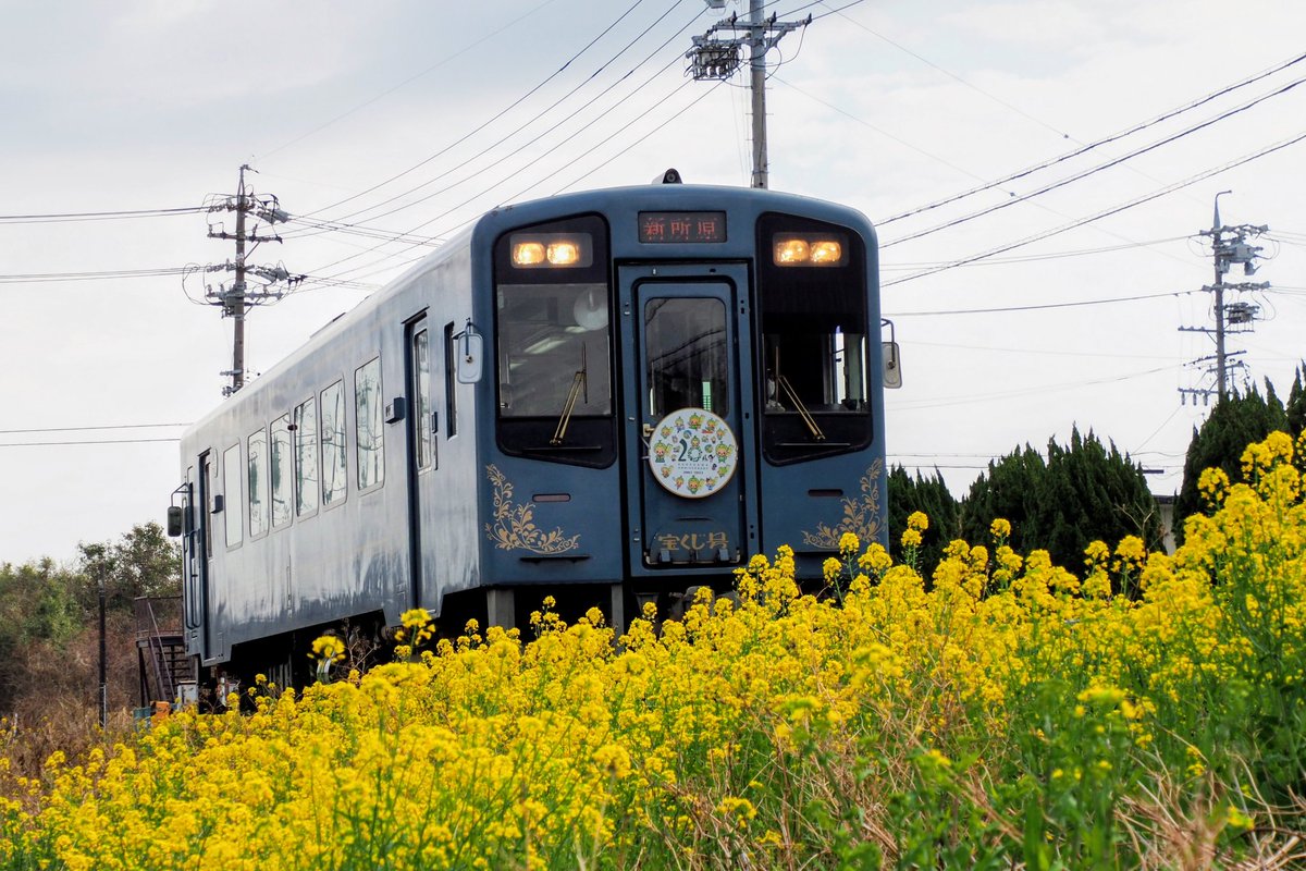 suisaisya's tweet photo. きょうの天浜線♬
掛川市制20周年ヘッドマーク付のSlowlife Trainと菜の花
#今日の天浜線 #SlowLifeTrain #RETRODLofres #マリメッコ #菜の花 #掛川市役所前駅 #THR #天竜浜名湖鉄道 #天浜線 #天浜線のある風景 #地域の夢と未来を運ぶ #天浜線を応援します https://t.co/QWmH2uTLvN
