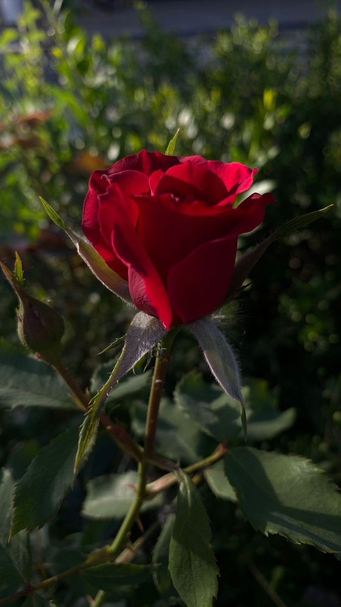 من تصويري 😊❤️