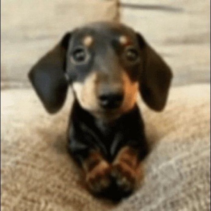 acordei 6 horas da manhã em um domingo