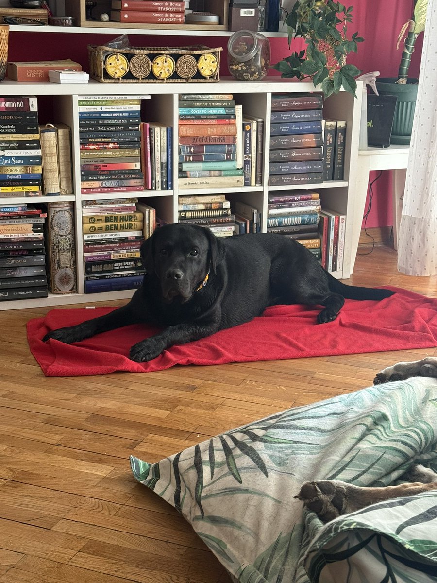 Mother of Dragons tweet media