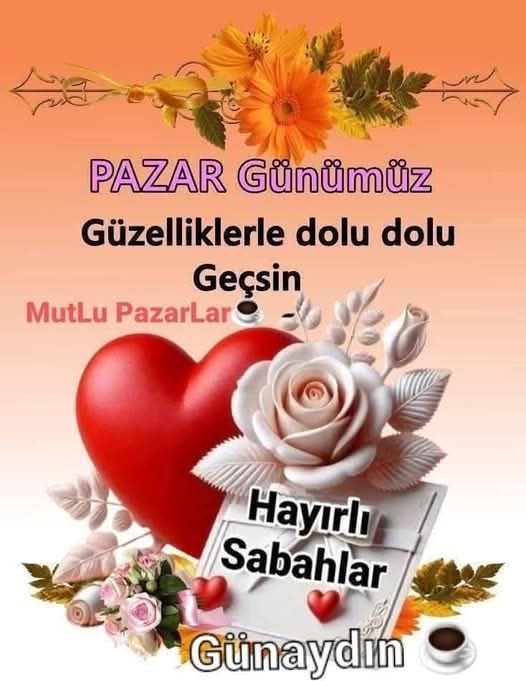 Ugur Yildirim (@ugur_yildirim40) on Twitter photo 