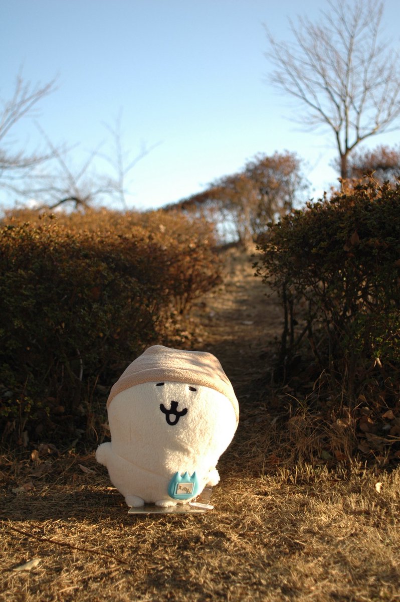 ω・*)#ふわもちはいいぞ 2枚目はCCDセンサー機で太陽入れたからか変な