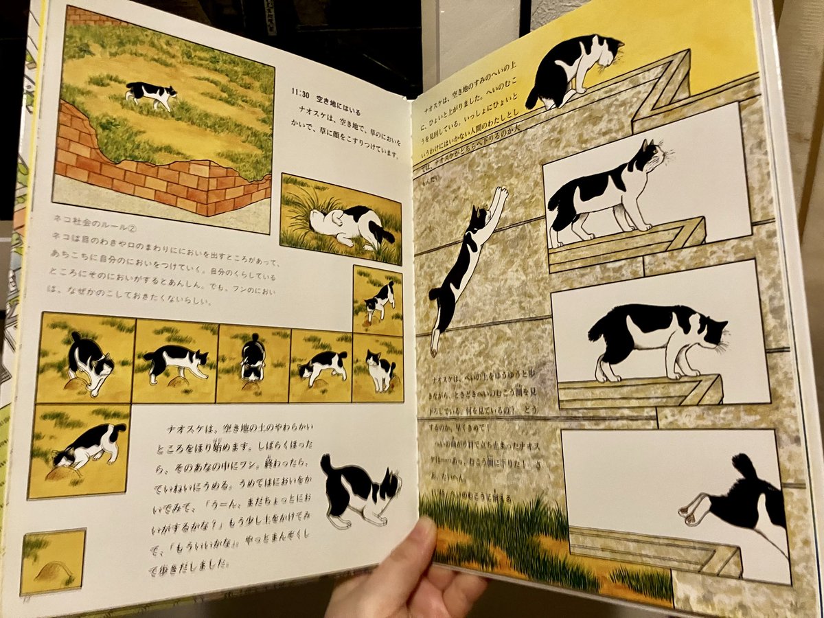 たくさんのふしぎ編集部 (@takusannofusigi) / Posts / X