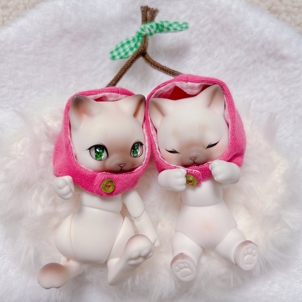 大好きな双子🐱ちゃんたち
#ドールで猫の日2026