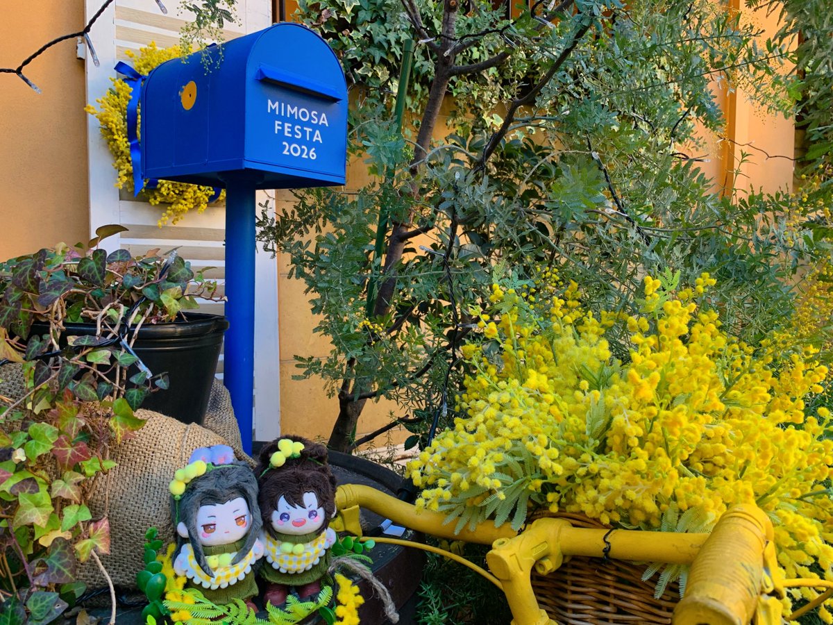 ✨️🌿💛🌿💛🌿✨️