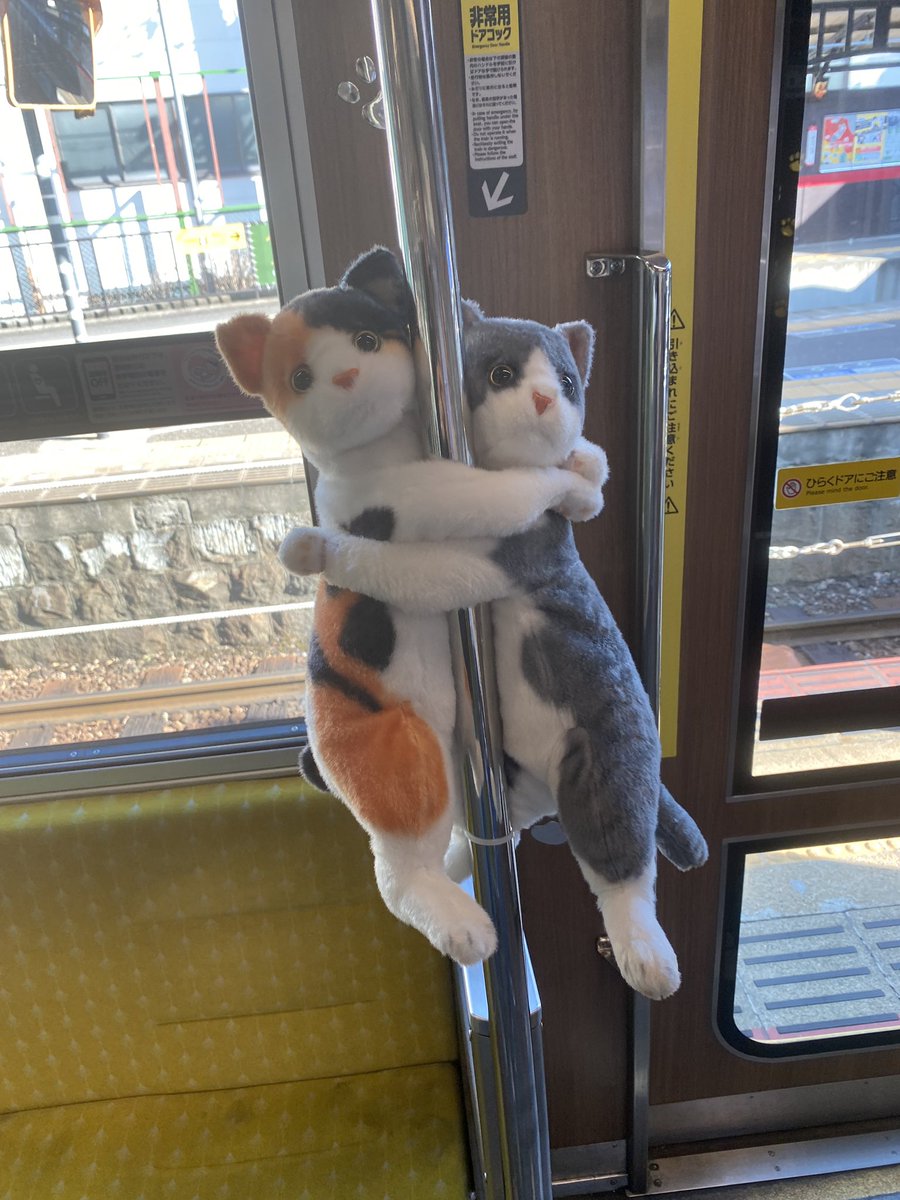 叡電に、猫だらけの可愛い電車が走っていました🐱