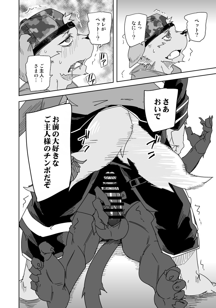 銀ノ助 tweet media