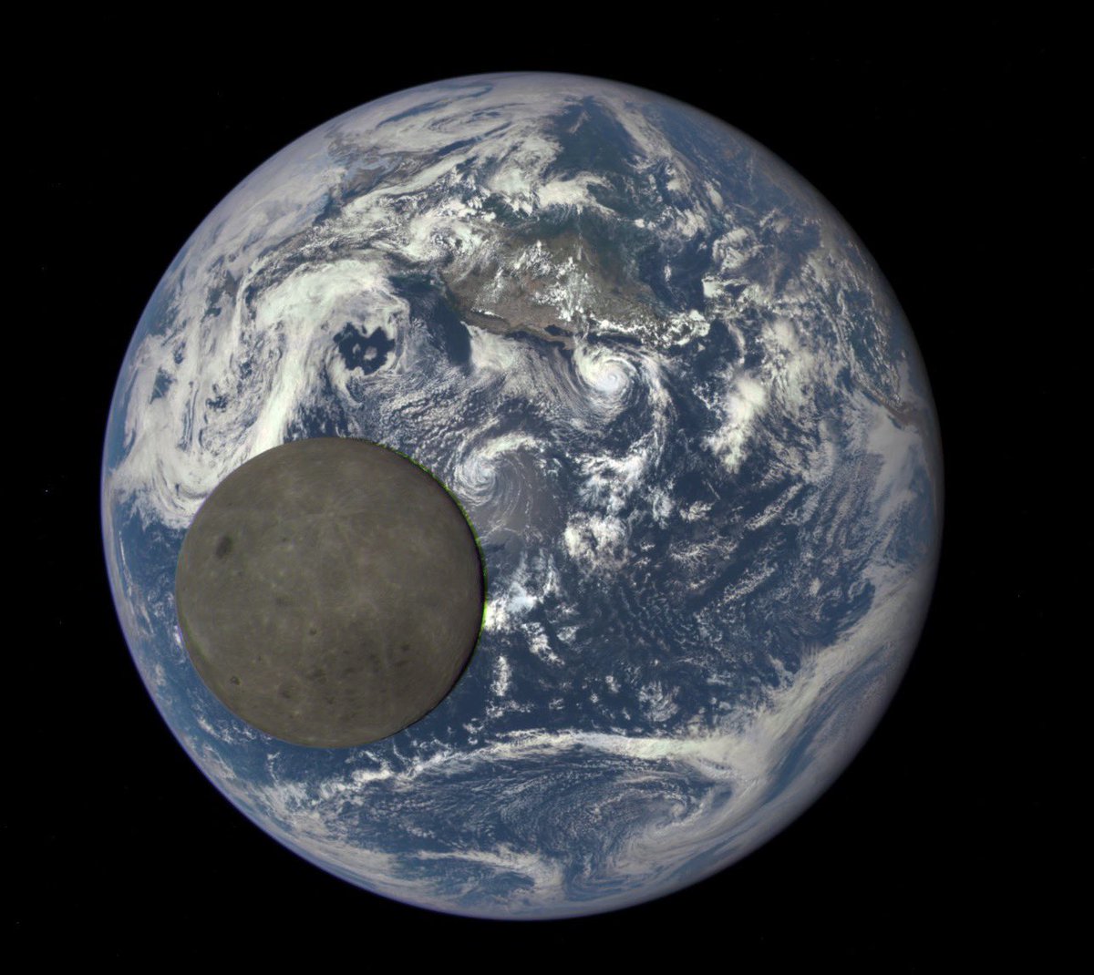 Concerned Citizen tweet media