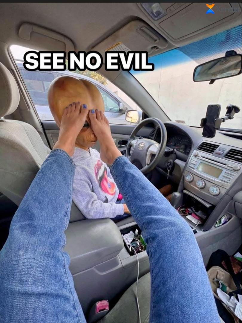 pitexy1's tweet image. Happy Sunday Mutuals. ❤️
#Speak No Evil 
#See No Evil 
#Hear No Evil.