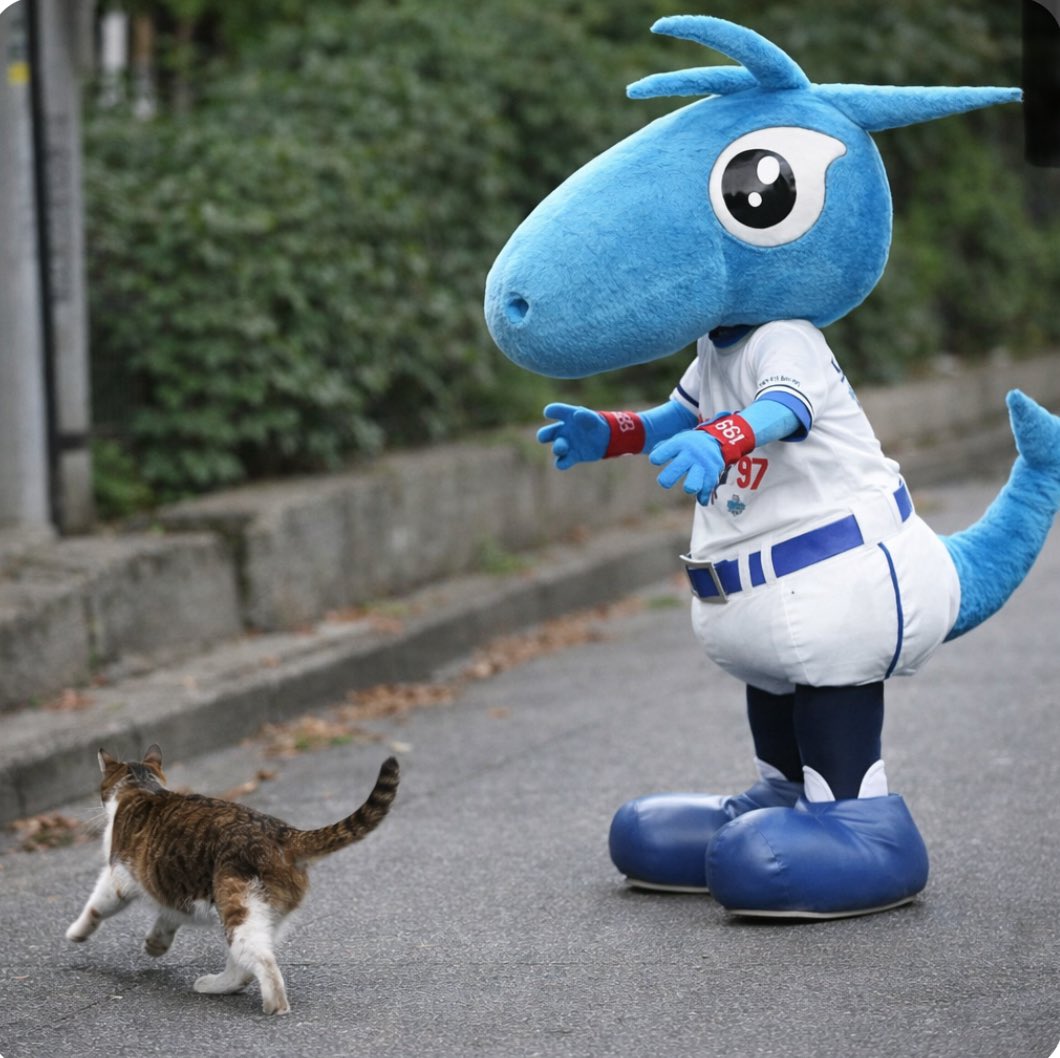 今日は #猫の日 ！😺 だけどボクはよくネコちゃんに逃げられるんだわ