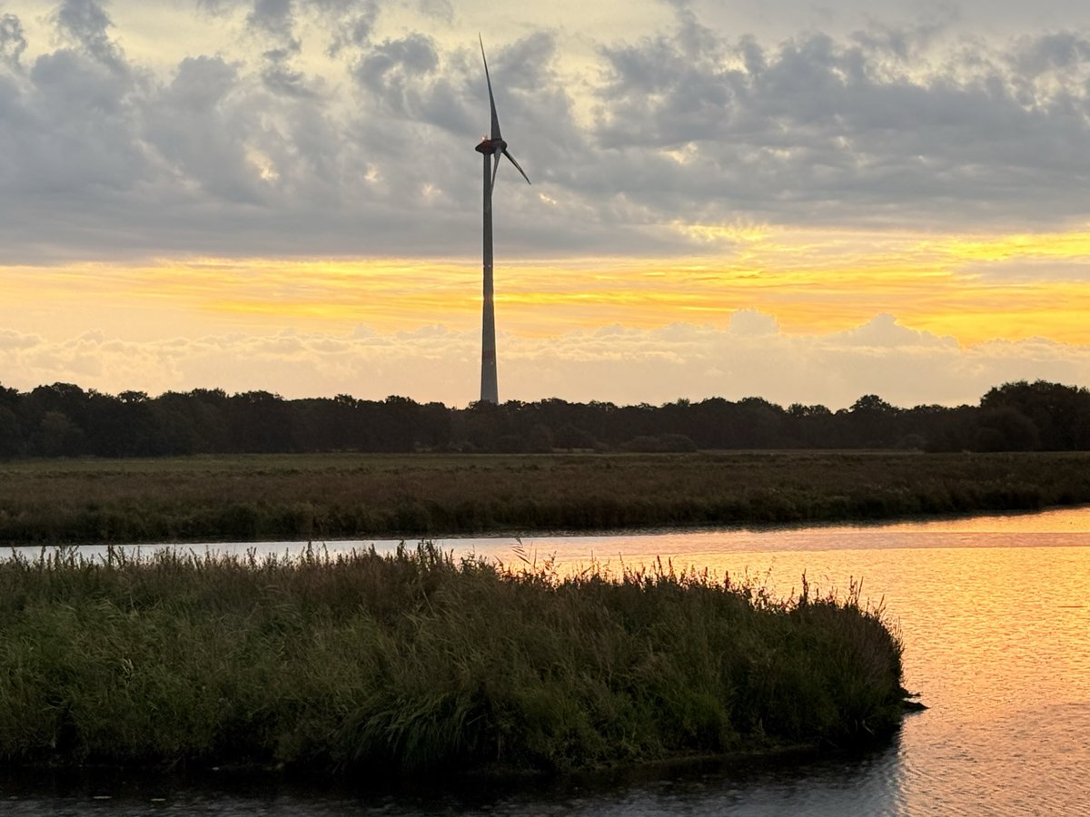 Dr. H 📯 tweet media