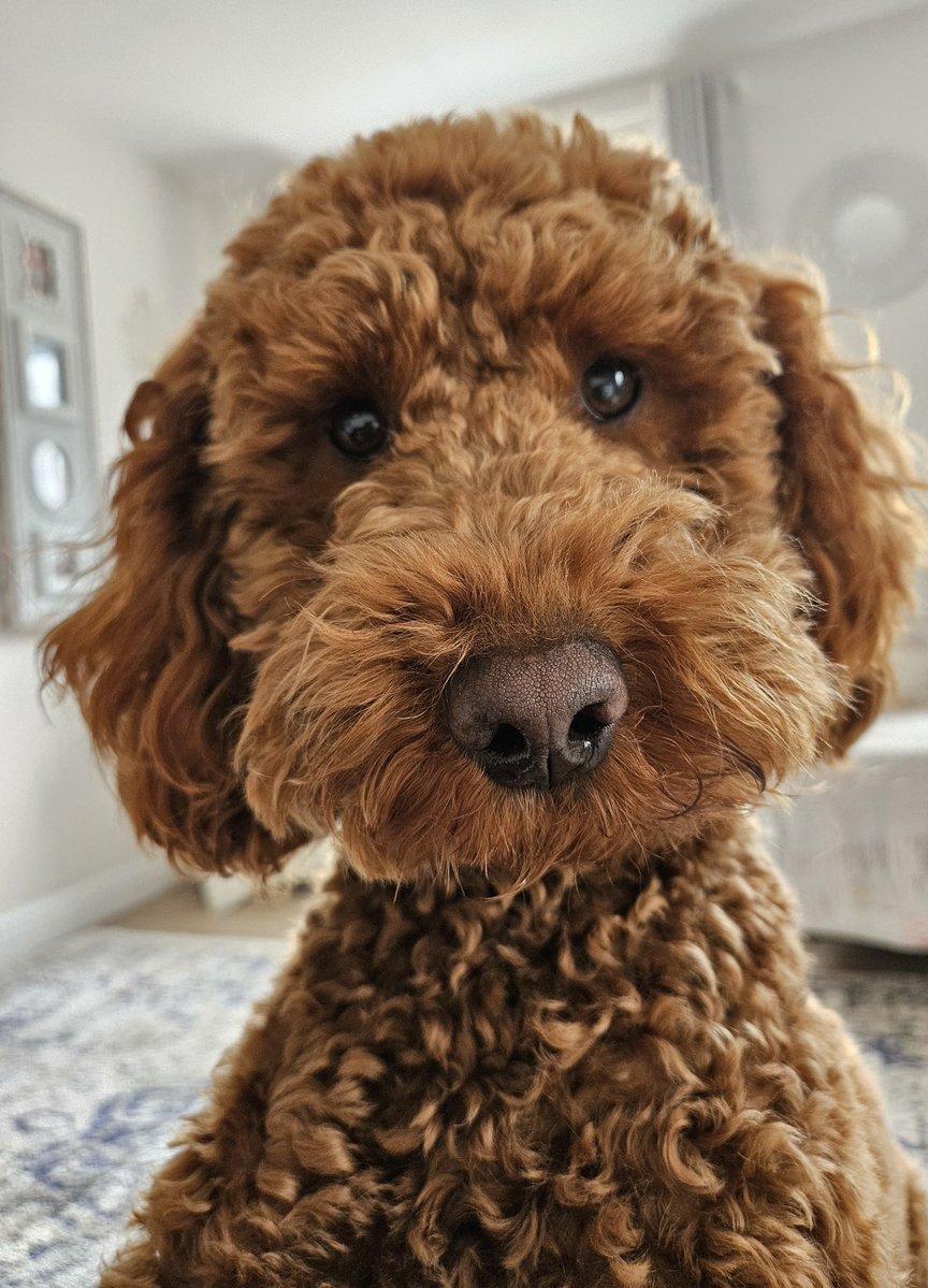 Anita💚✨️ tweet media