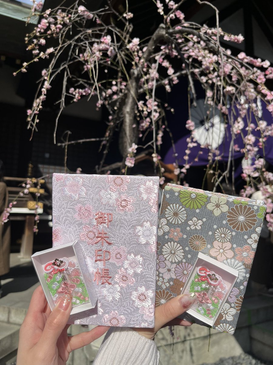 ふこそれいゆ🩵💙 tweet media