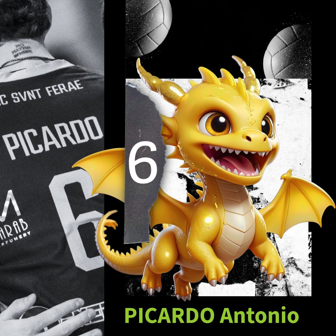 Ciao Antonio Ti pensiamo e ti aspettiamo in campo ... Forza! 💛#n6 #GoDragons <a href="/TerniVolley/">Terni Volley Academy Official</a>