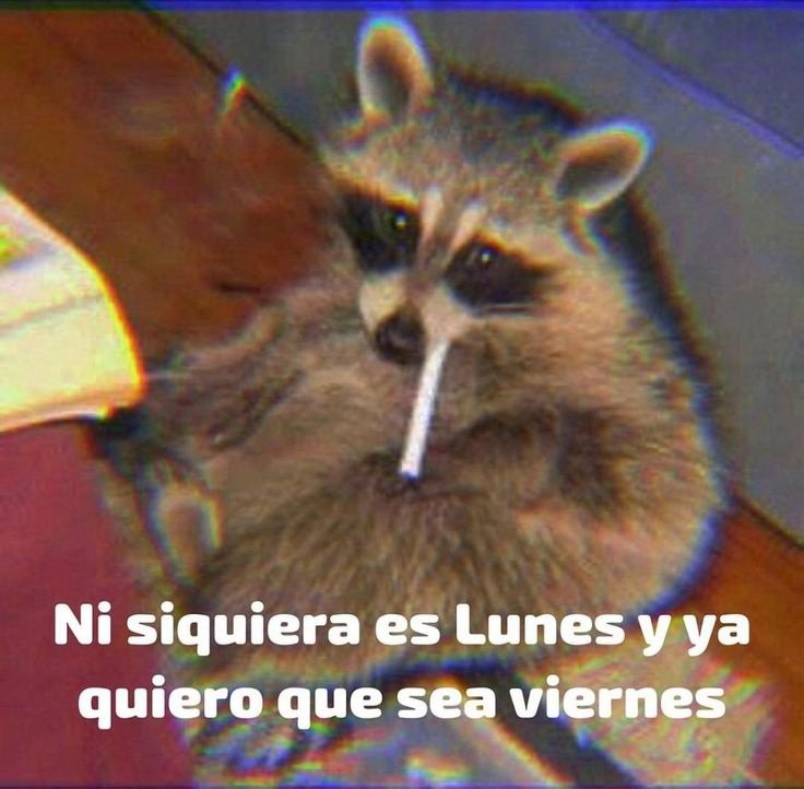 En Júpiter tweet media