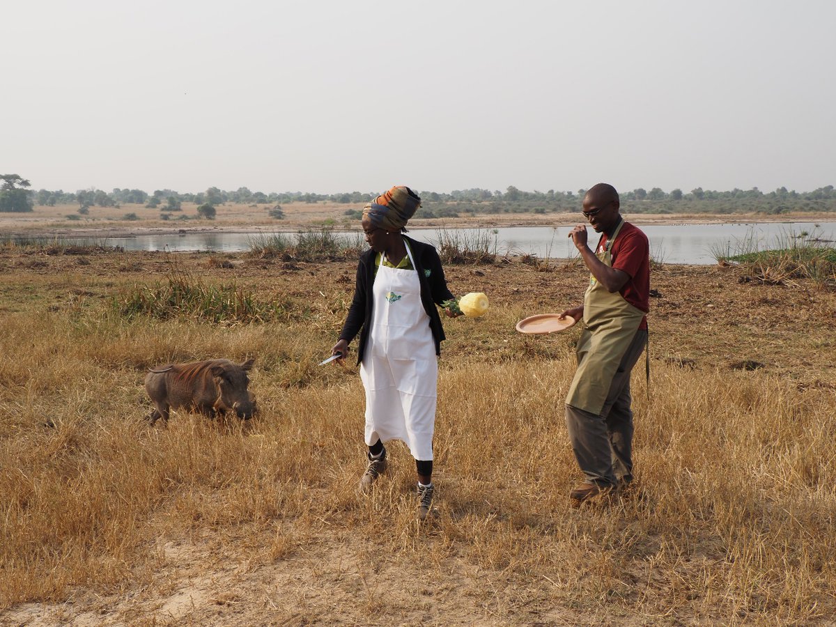 Lambula Wild Adventures Ug tweet media