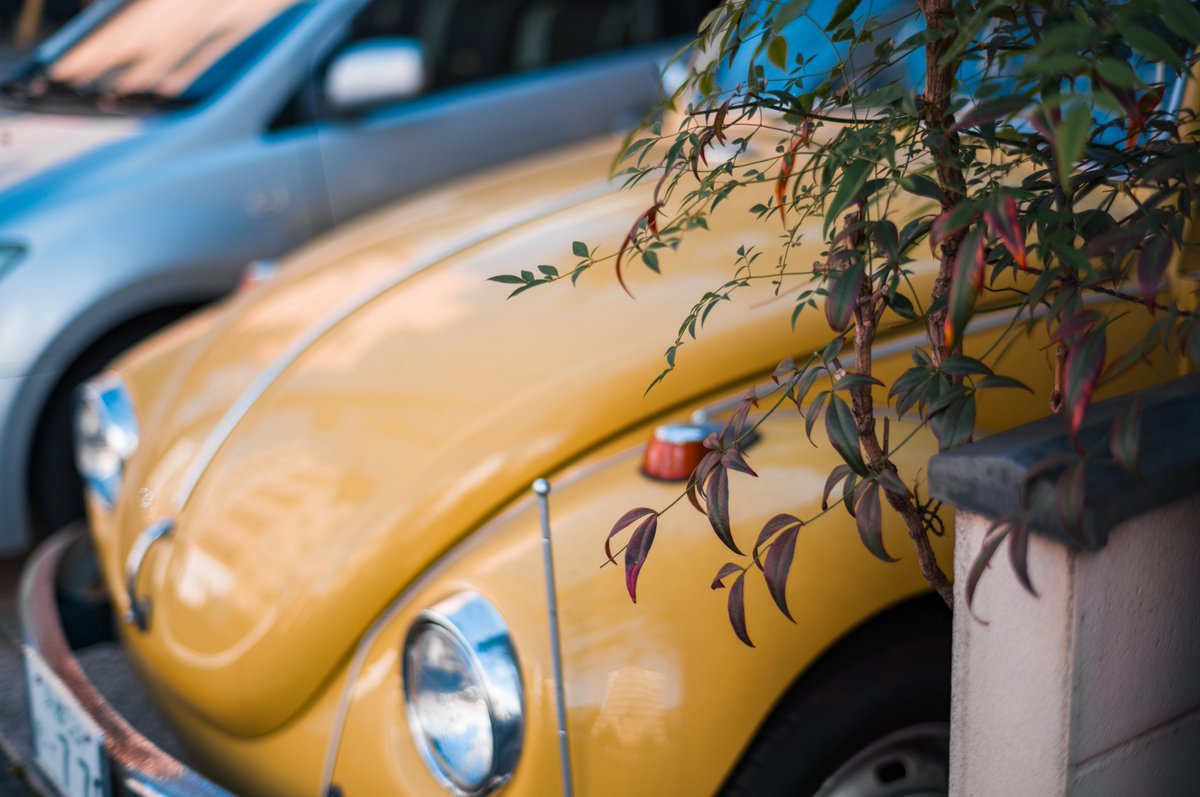 みかづき (@mic_azuki) / Posts / X