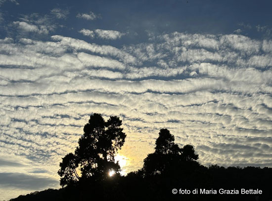 IL CSV Informa
“Pace, se lo dici e lo ripeti, magari poi si avvera”
Mario Rigoni Stern

Leggi l'editoriale:
csv-vicenza.org/web/2026/02/22…

#volontariatovicentino 
#lacomunitàsiracconta 
#csvdivicenza