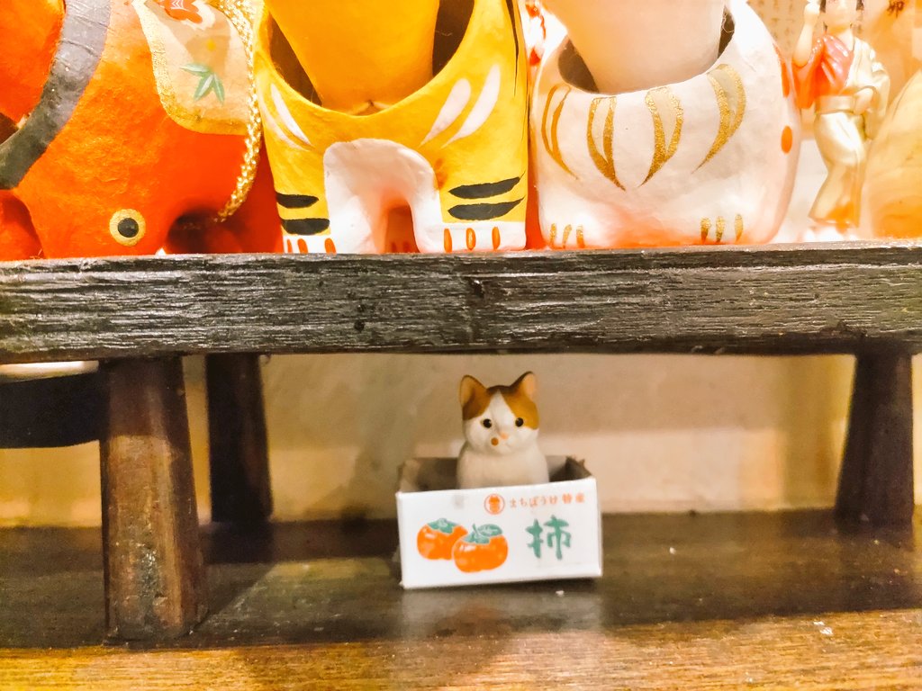 222でフォルダの猫の写真…を検索したら三年前のコレが出てきた。多分