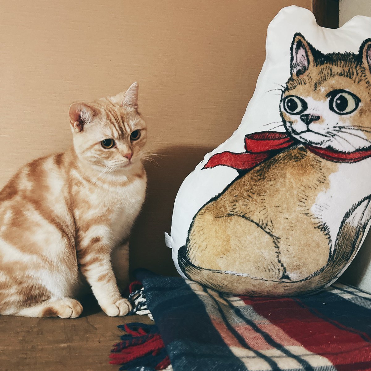 以前飼猫ﾁｬﾝ（20才）が旅立ってから寂しくて、ヒグチユウコさんの猫