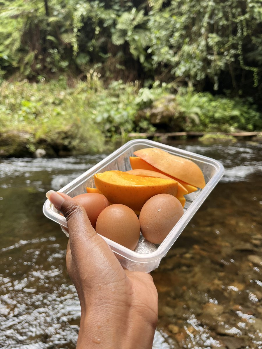 Spent the day jana chasing waterfalls at KFS Castle Forest 🌳 
It’s right at the foothill of Mt Kenya.
We did 8 Kms and visited Kang’ere 1 &amp;2
They are pretty close to each other so when you go, do both. 
The goal now is to do Kang’ere 3&amp;4 - those ones are tougher, roughly 15 Kms