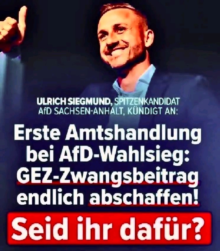 Daniel Vollmer🇩🇪💙 tweet media