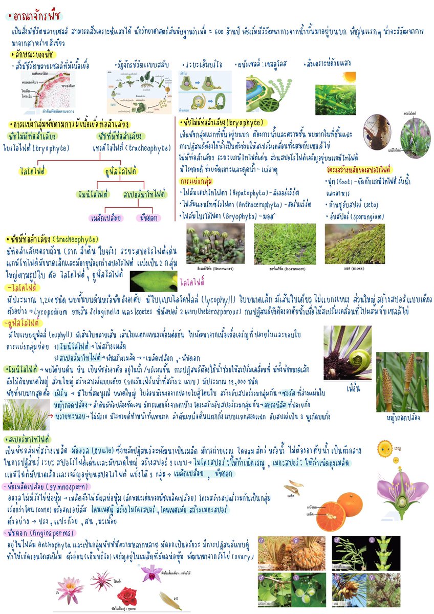 🟢|รับทำการบ้าน,รับจดงาน📚| สอบถามทักไลน์✋🏻 tweet media