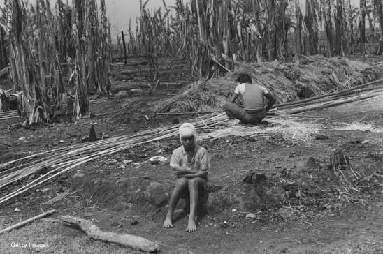 TodayHistoryPTV's tweet image. TODAY IN HISTORY | Feb 22, 1983

Hindu extremists killed around 3,000 Muslims in the Nellie massacre in province of Assam, northeastern India, in one of the deadliest episodes of communal violence in the country’s modern history

#India #CommunalViolence