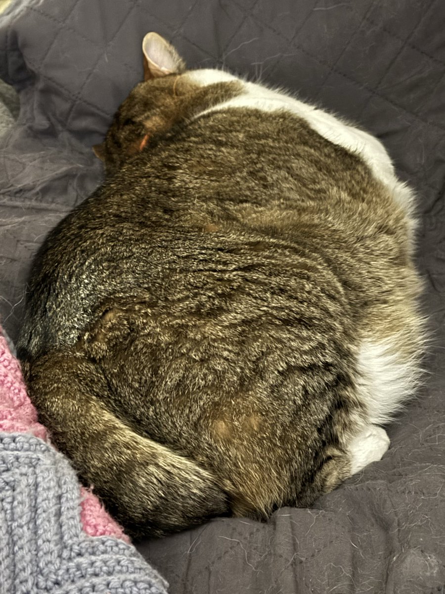 Nelson Cash tweet media