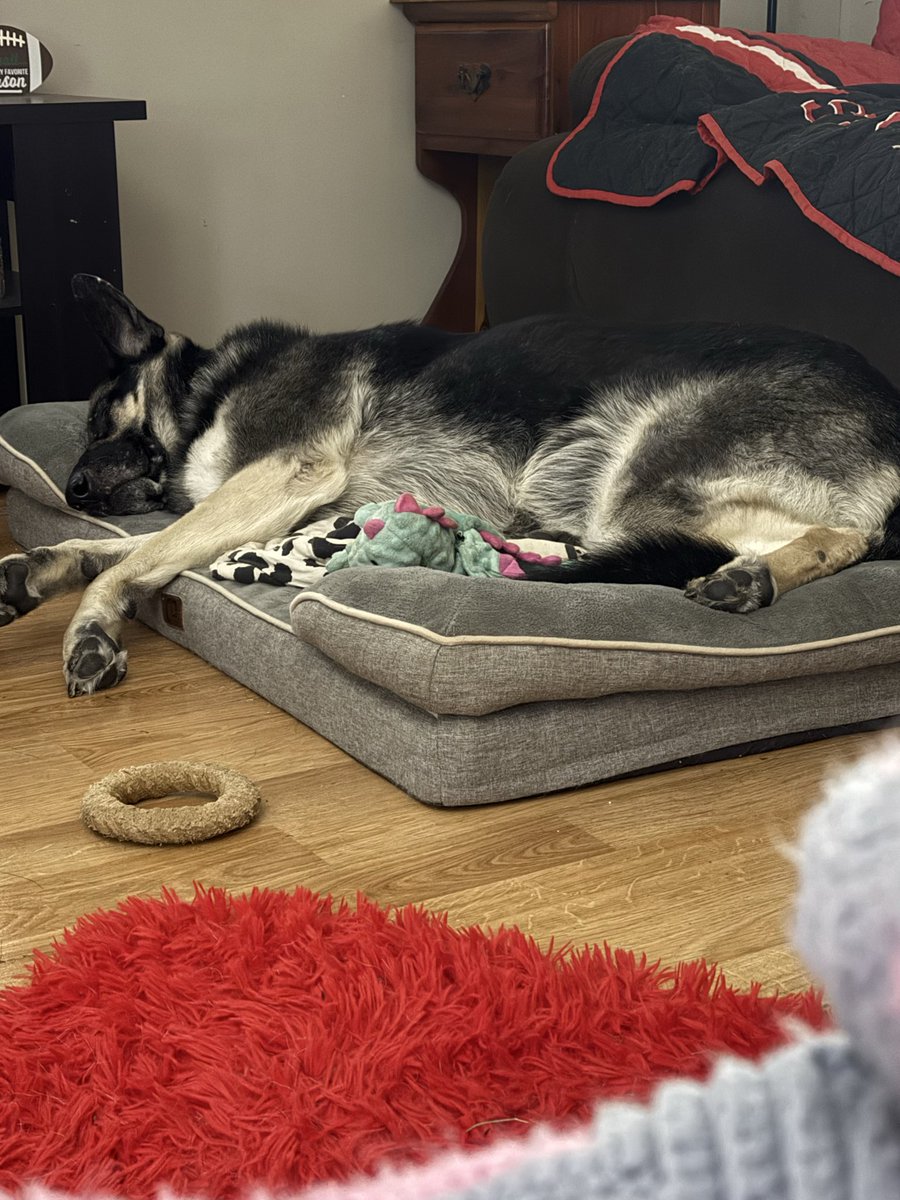 Nelson Cash tweet media