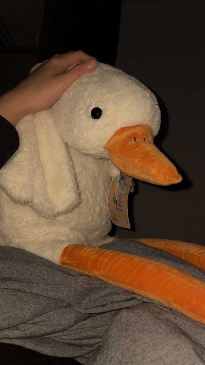 かんじ (@kanji_Toy) / Posts / X