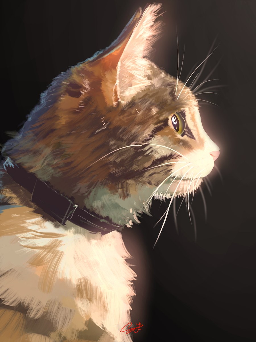 smile (@dsuV4sW8qYWHQVL) / Posts / X