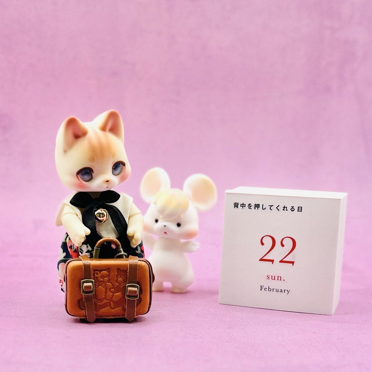 世界中のネコちゃんが幸せでありますように♡
#kumukuku