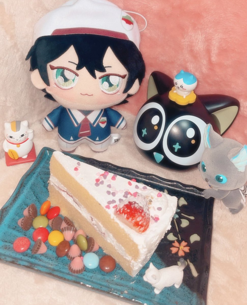 いろんな猫とケーキ食うよ〜
 #知念実也誕生祭2026