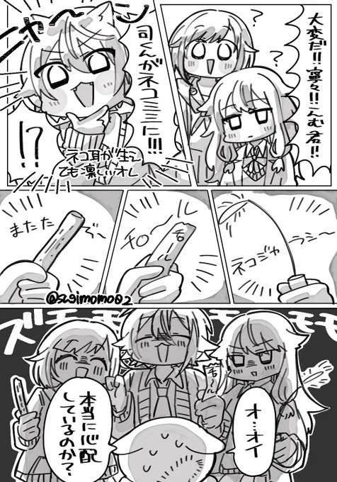 猫の日🐱 