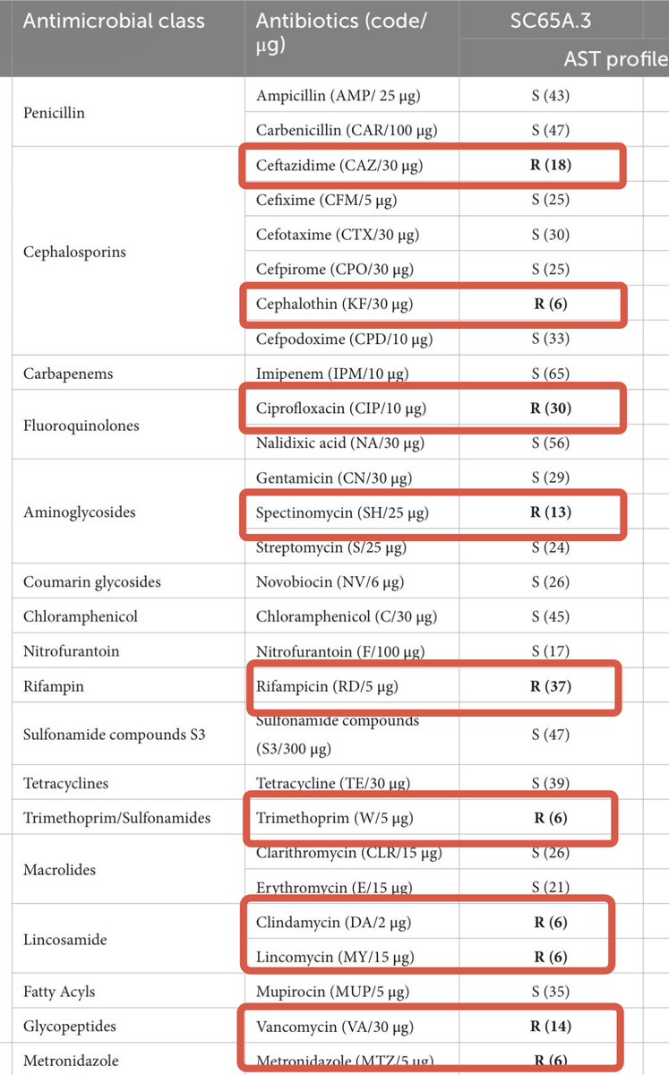 Si te dicen q un #NUEVO antibiótico NO TIENE RESISTENCIAS🆕💊…. no te lo creas! <a href="/FrontMicrobiol/">Frontiers - Microbiology</a> bacteria congelada hace 5000 años🥶…ya era R a 10 ATB📸. Los ATB provienen de la naturaleza y existen mecanismos en ella para combatirlos
 <a href="/FrontMicrobiol/">Frontiers - Microbiology</a> 🔗🆓frontiersin.org/journals/micro…