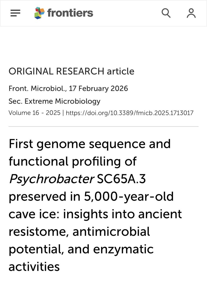 infeccHRUmalaga's tweet image. Si te dicen q un #NUEVO antibiótico NO TIENE RESISTENCIAS🆕💊…. no te lo creas! @FrontMicrobiol bacteria congelada hace 5000 años🥶…ya era R a 10 ATB📸. Los ATB provienen de la naturaleza y existen mecanismos en ella para combatirlos
 @FrontMicrobiol 🔗🆓frontiersin.org/journals/micro…