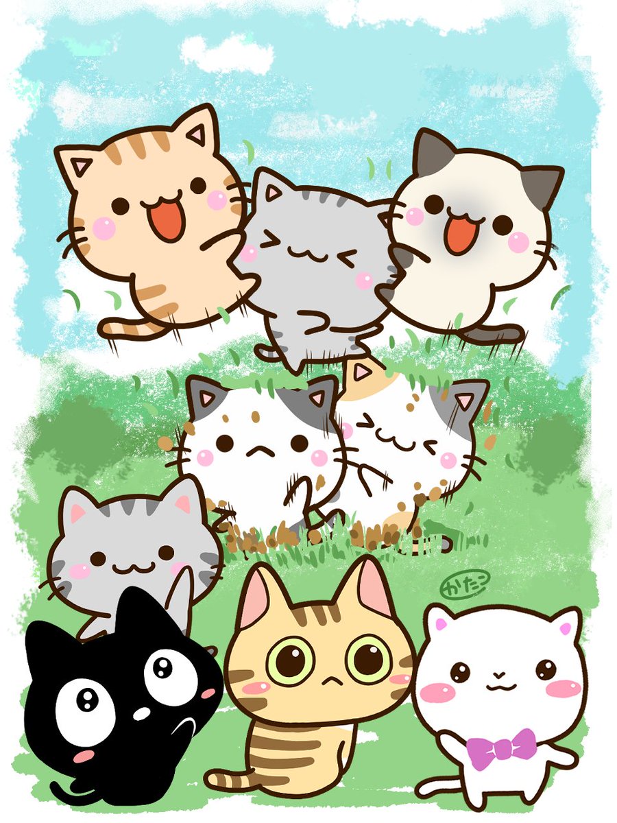 にゃんにゃんにゃん
#猫の日🐈🐈‍⬛
これからも保護猫支援をしていきます🐱