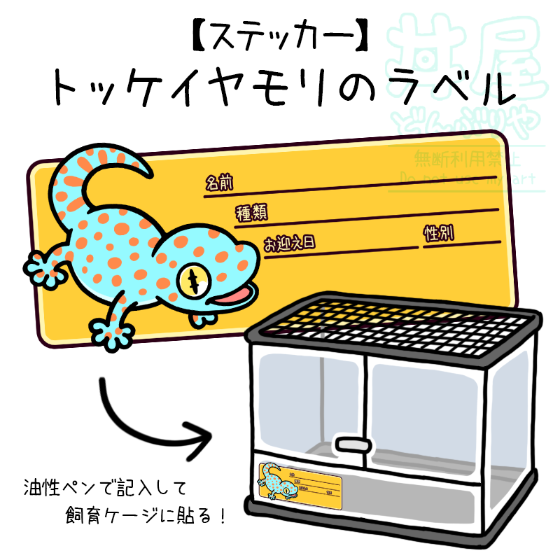donburi_kurage's tweet photo. トッケイヤモリのグッズができました🦎✨
ラベルステッカーとスマホステッカーです！！
モルフは１３種類ご用意しております💪
ショップリンクはリプにて～！
#丼屋わ〜るど
#爬虫類 #トッケイヤモリ #ヤモリ
#爬虫類好きさんと繋がりたい https://t.co/BEJaiIxwWO