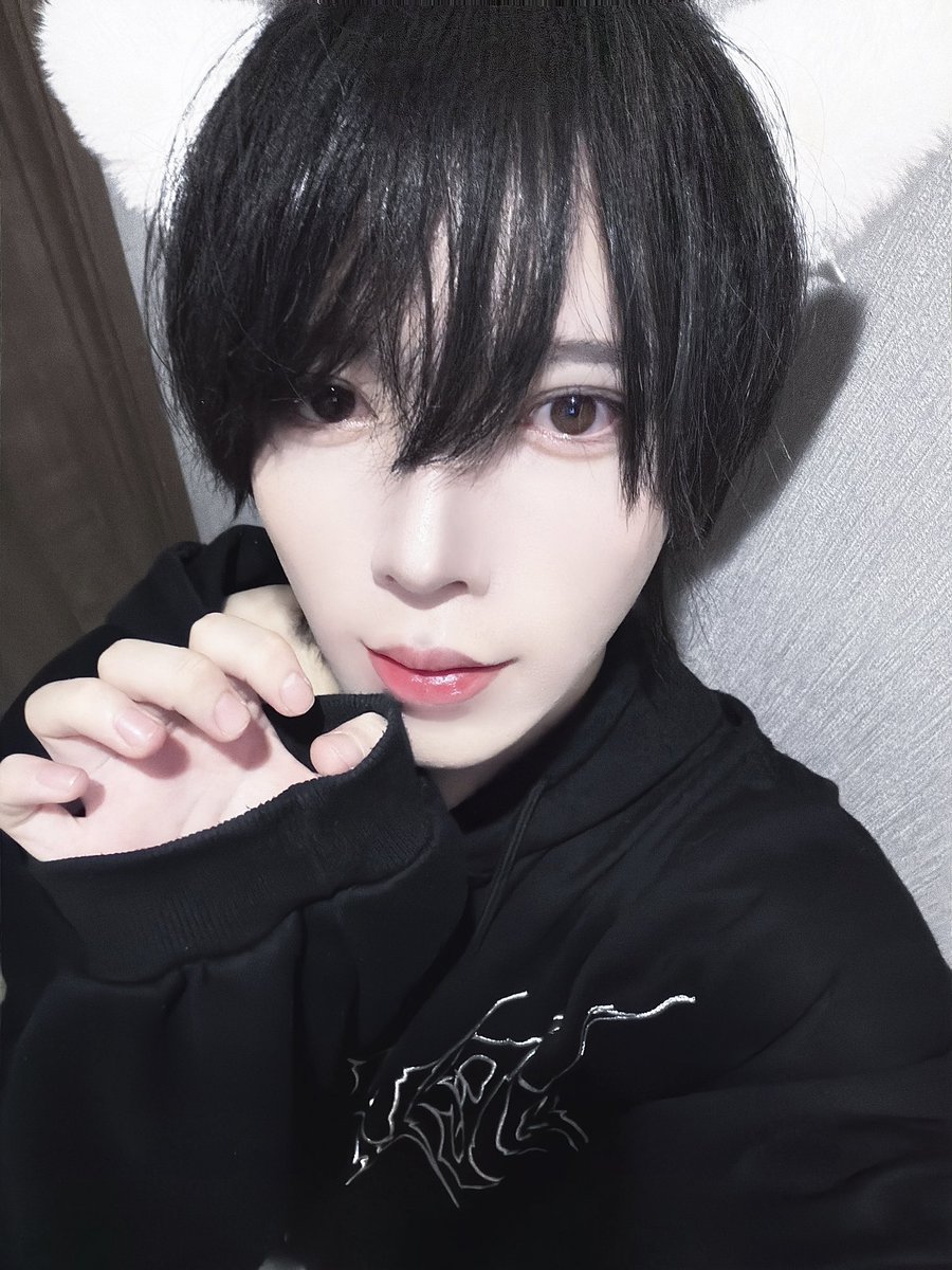 にゃんにゃんの日🐾