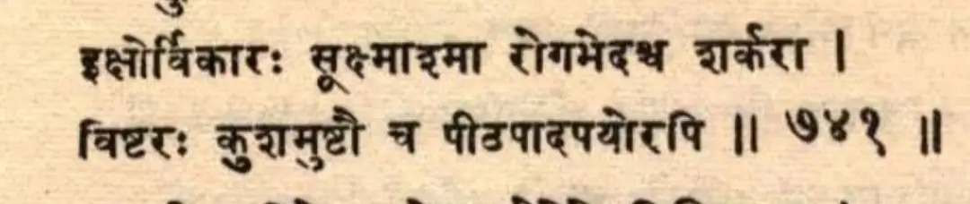 चौथी शताब्दी में शर्करा शायद रोग का हेतु नहीं थी,अन्यथा अमरसिंह उसे निर्दिष्ट करने का प्रयास करते, किंतु 12वीं शताब्दी तक चीनी के विकासशील परिवर्तन की यात्रा उससे उत्पन्न होने वाले रोग का हेतु बन गई, जिसका प्रभाव तत्कालीन कश्मीरी कवि मंख की कृति पर स्पष्ट रूप से दृष्टिगत होता है।