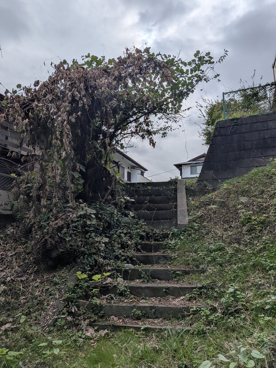 Post by 忘れ種 on X: #階段