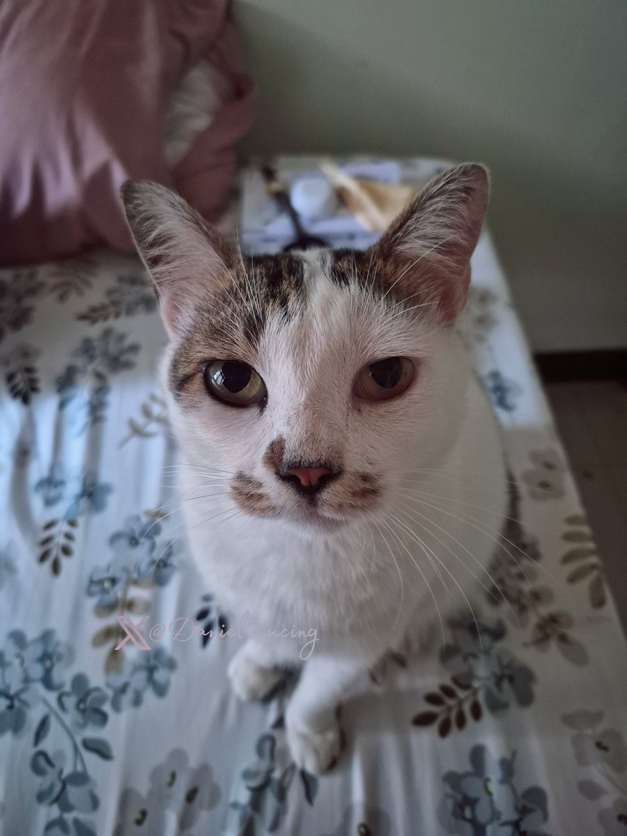 there's nothing like waking up to a divine, fresh fragrance ✨️✨️