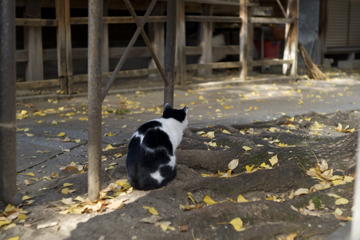 JACK井上 tweet media