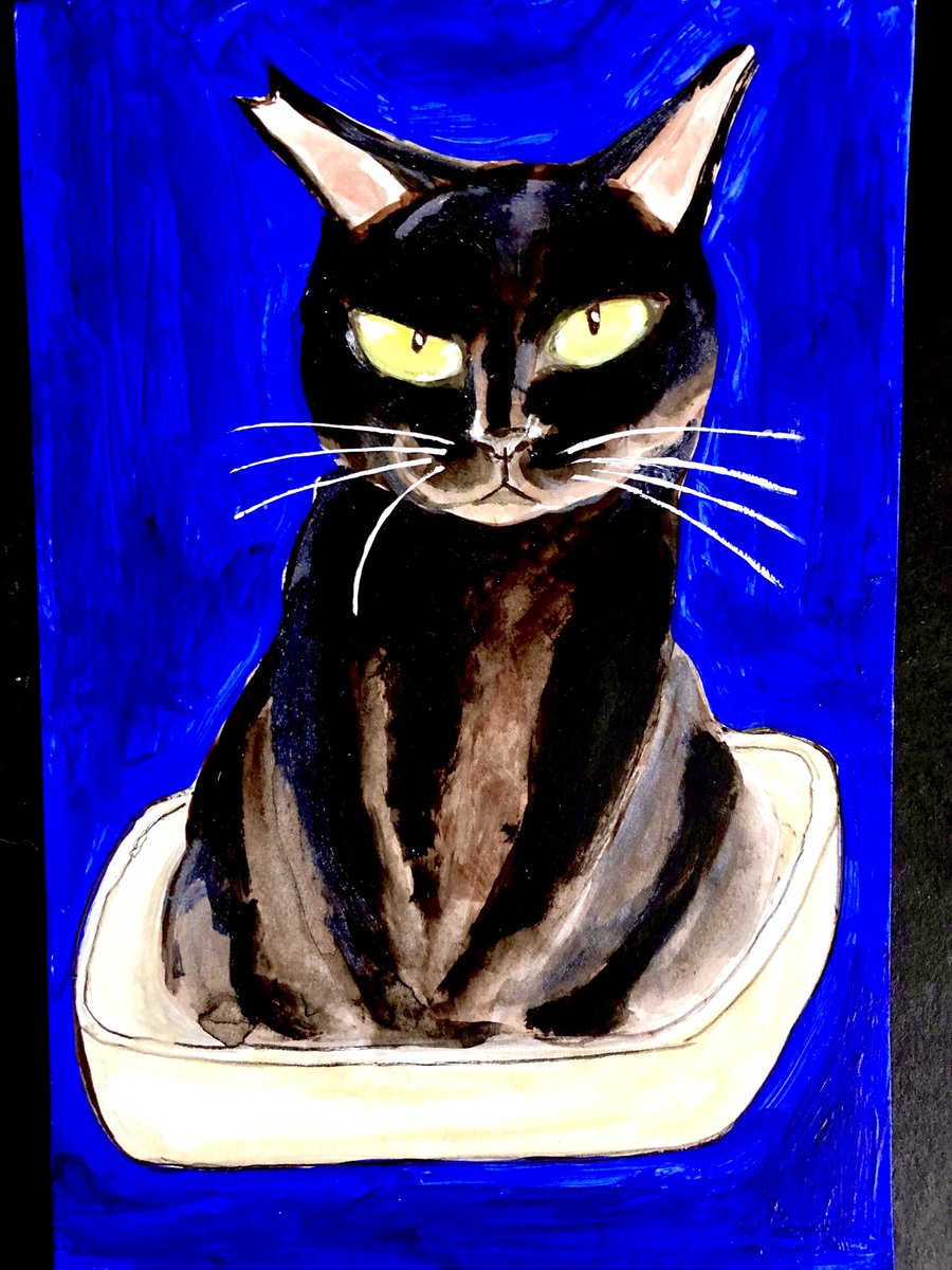 猫壱屋久右衛門 (@og9Z0HG7T7lLpNM) / Posts / X